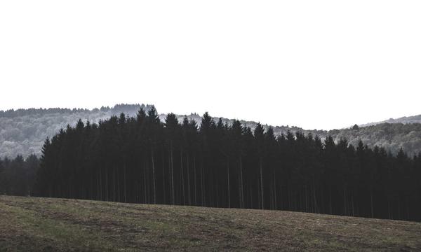 麻将技巧